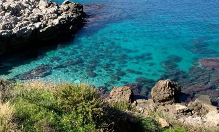 Da Carmen E Peppe Apartman Santa Flavia Kültér fotó